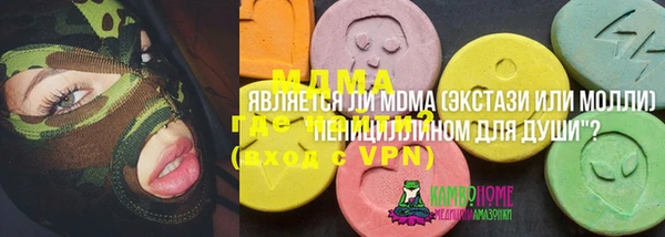 мдпв Надым