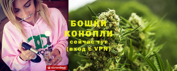 мдпв Надым