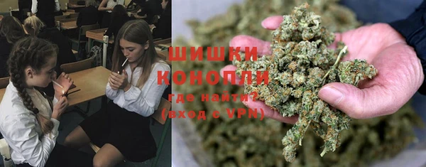 мдпв Надым