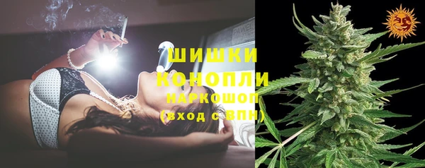 мдпв Надым