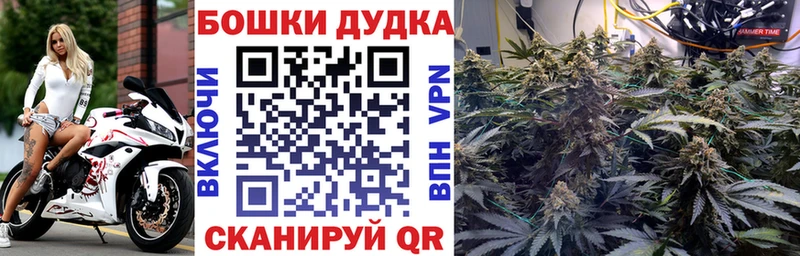 Бошки Шишки тримм  Миньяр 